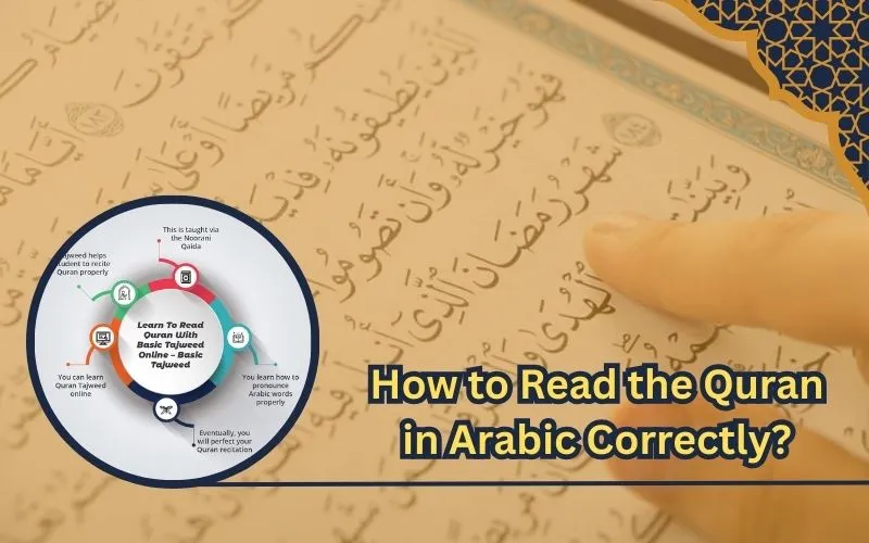 Read the Quran in Arabic
